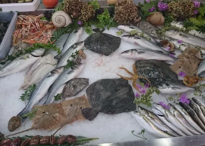 Prázdninový dům Limun